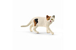 Schleich 13894 Tier - Amerikanische Kurzhaarkatze