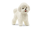 Schleich 13963 Tier - Bichon Frisé