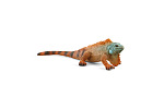 Schleich 14854 Tier - Leguan