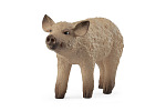 Schleich 14893 Tier - Mangalica Ferkel