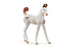 Schleich 14896 Tier - Marwari Fohlen