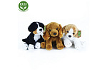 Rappa Plüschhunde sitzend 14 cm ECO-FRIENDLY