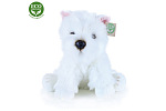 Rappa Plüschhund Westie sitzend 30 cm ECO-FRIENDLY