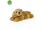 Rappa Plyšový retriever 30 cm ECO-FRIENDLY