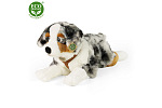 Rappa Plüsch Australian Shepherd liegend 61 cm ECO-FRIENDLY