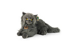 Rappa Plüschkatze Perser 30 cm ECO-FRIENDLY