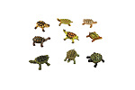 Rappa Schildkröten im Beutel, 9 Stück
