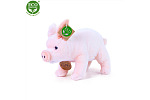 Rappa Plüsch-Hausschwein stehend 20 cm ECO-FRIENDLY