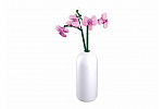 Rappa Sluban Flowers M38-B1101-12 Orchidee in der Vase