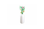 Rappa Sluban Flowers M38-B1101-13 Freesien in der Vase
