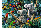 Ravensburger Koalas auf dem Baum 500 Teile