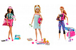 Mattel Barbie WELLNESS PUPPE ASST
