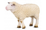 Collecta Tiere Collecta Figur Schaf