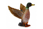 Collecta zvířátka Collecta Kačer kachny divoké