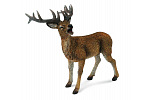 Collecta Tiere Collecta Figur Waldhirsch