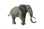 Collecta Mac Toys COLLECTA Slon africký