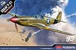 Academy Modellbausatz Flugzeug 12338 - USAAF P-51 "Nordafrika" (1:48)