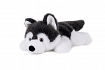 Teddies Pes husky ležící plyš 30cm 0m+