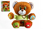 Teddies Bär Vojtík märchenhaft tschechisch sprechendes Plüschtier 30cm mit Batterien 25x30cm in der Schachtel 12m+