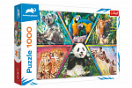 Trefl Puzzle Tierreich 1000 Teile 68,3x48cm in Schachtel 40x27x6cm