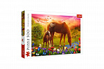 Trefl Puzzle Rodina koní 500 dílků 48x34cm v krabici 40x26,5x4,5cm