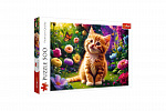 Trefl Puzzle Roztomilé kotě 500 dílků 48x34cm v krabici 40x27x4,5cm
