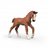 Schleich Sběratelské hříbě Ruby