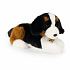 Rappa Plyšový pes bernský salašnický 22 cm ECO-FRIENDLY PLUSH WORLD