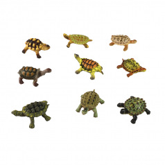 Rappa želvy v sáčku, 9ks