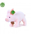 Rappa Plyšové prase domácí stojící 20 cm ECO-FRIENDLY