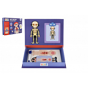 Teddies Skládačka magnetická tělo člověka v krabici Teddies Skládačka magnetická tělo člověka v krabici