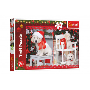 Puzzle Labrador s čepicí 48x34cm 200 dílků v krabici 33x23x4cm Puzzle Labrador s čepicí 48x34cm 200 dílků v krabici 33x23x4cm