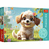 Trefl Puzzle Být štěňátkem 33x22cm 60 dílků v krabičce 21x14x4cm