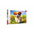 Puzzle Veselé štěně 500 dílků 48x34cm v krabici 40x27x4,5cm