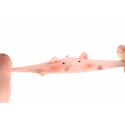Teddies Prase/prasátko antistresové mačkací silikon 6cm 4 druhy