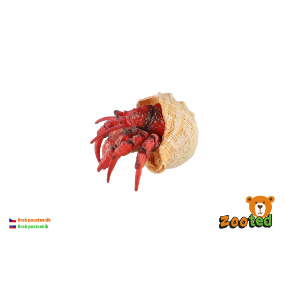 ZOOted Krab poustevník zooted plast 7cm 