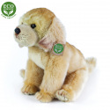 Rappa Pluszowy Labrador siedzący 27 cm ECO-FRIENDLY
