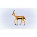 Schleich 14861 Tier - Thomson-Gazelle