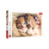 Trefl Puzzle Spiace mačiatka 500 dielikov 48x34cm v krabici 40x26,5x4,5cm