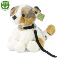 Rappa Plüschhund Australischer Schäferhund mit Leine 28 cm ECO-FRIENDLY