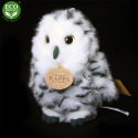 Rappa Plüsch-Eule 17 cm ECO-FRIENDLY