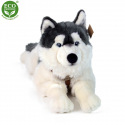 Rappa Plüschhund Husky mit Halsband liegend 60 cm ECO-FRIENDLY