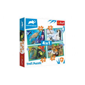 Trefl Puzzle 4w1 Animal Planet 28,5x20,5cm w pudełku 28x28x6cm