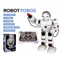 Teddies Roboter RC FOBOS aus Kunststoff, interaktiv, gehend, 40 cm, spricht Tschechisch, batteriebetrieben mit USB, in Schachtel 31x45x13 cm