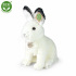 Rappa Plüsch Polarfuchs sitzend 30 cm ECO-FRIENDLY
