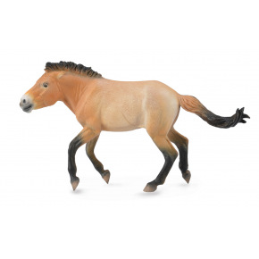 Collecta zvieratá Collecta Prevalsky's Horse