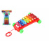 Teddies Xylofon plast/kov 24cm s paličkami 2 barvy v sáčku 19x31x6cm