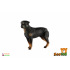 ZOOted Rottweiler - pes domácí zooted plast 8cm 
