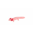 Axolotl mexický zooted plast 8cm 