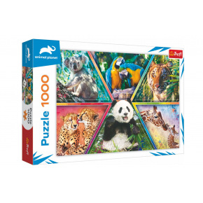 Trefl Puzzle Animal Kingdom 1000 elementów 68,3x48cm w pudełku 40x27x6cm